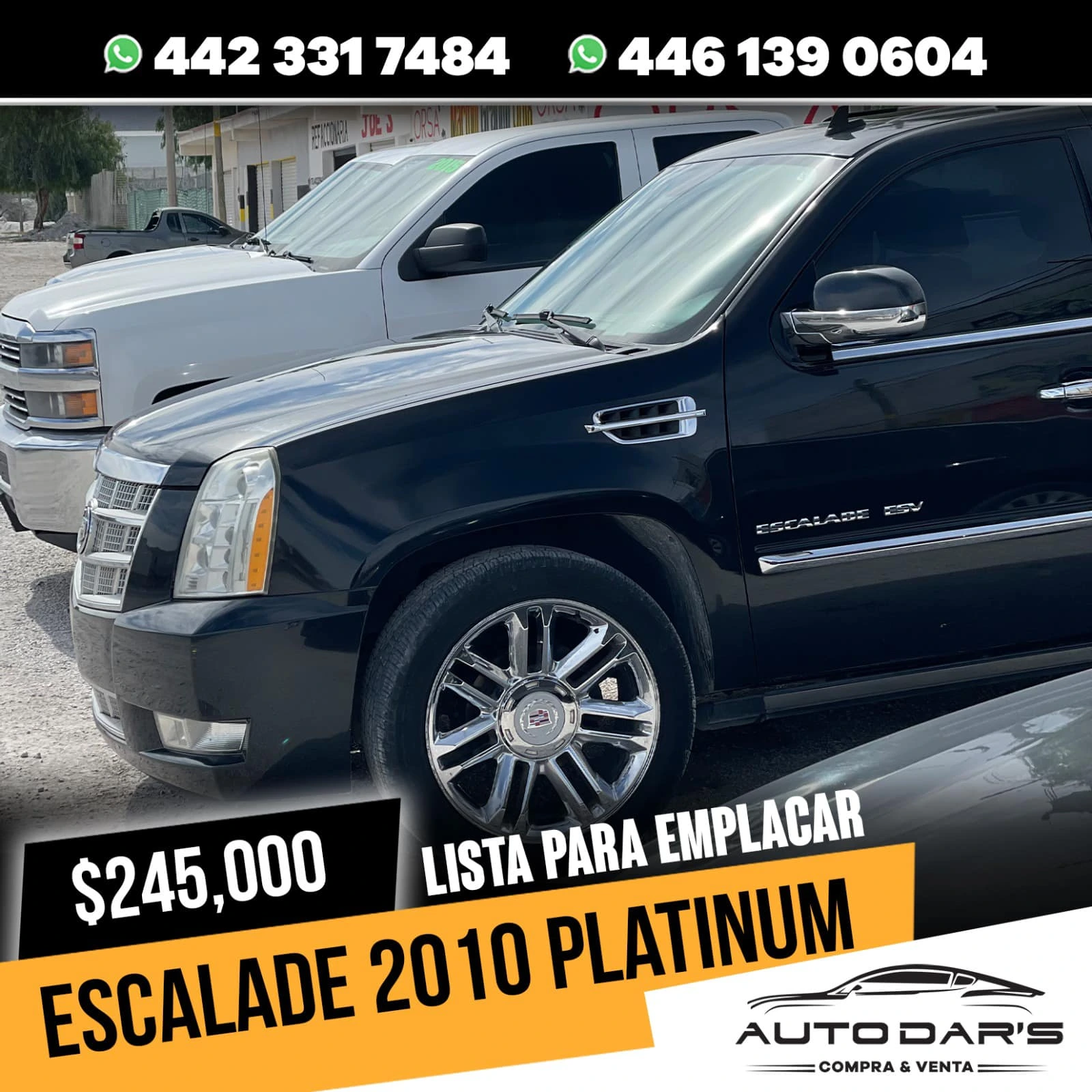 ESCALADE 2010 PLATINUM