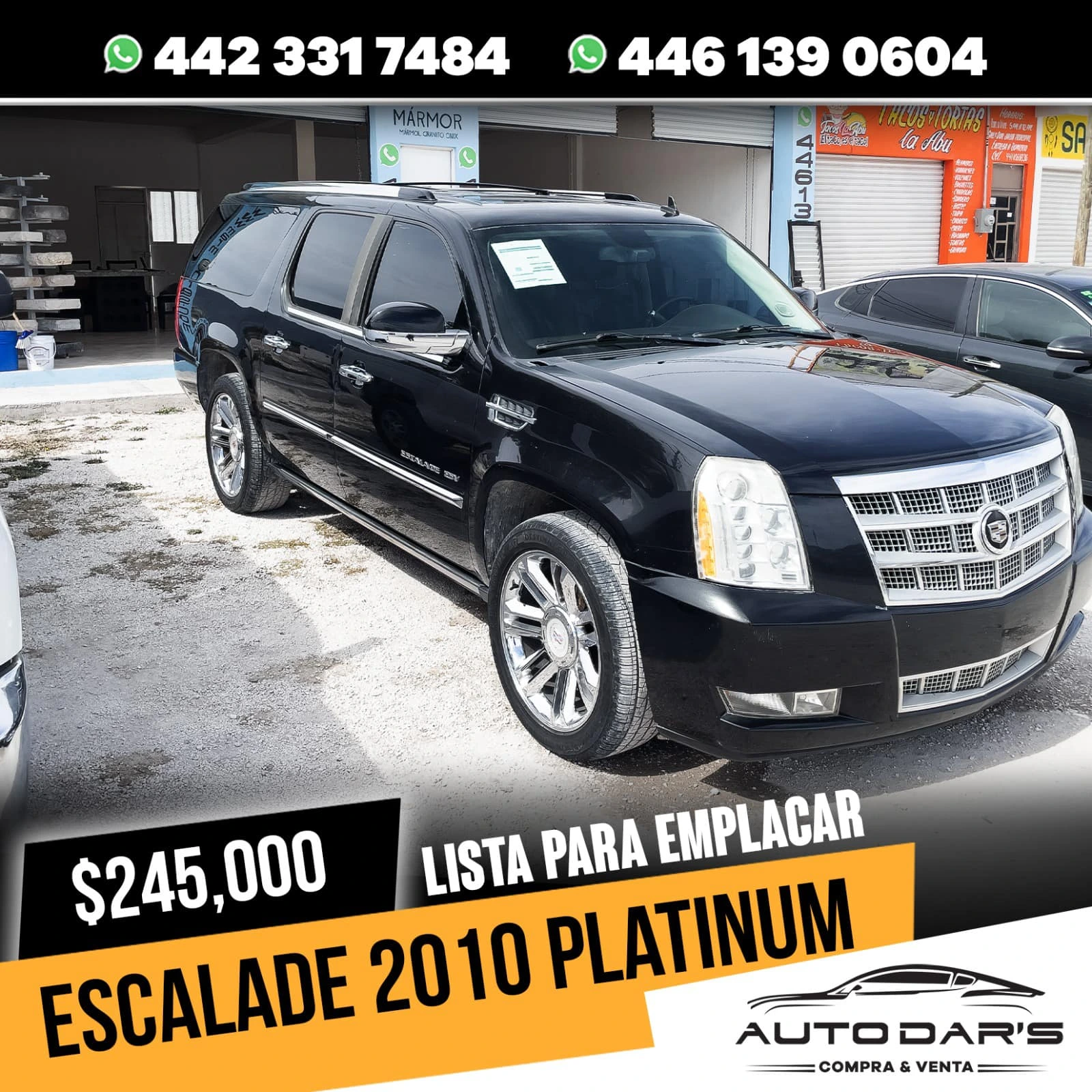 ESCALADE 2010 PLATINUM