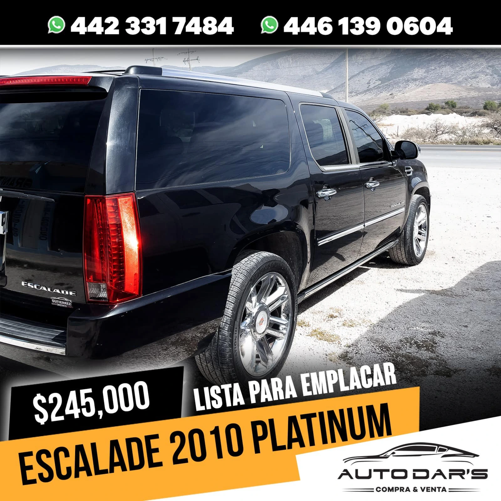 ESCALADE 2010 PLATINUM